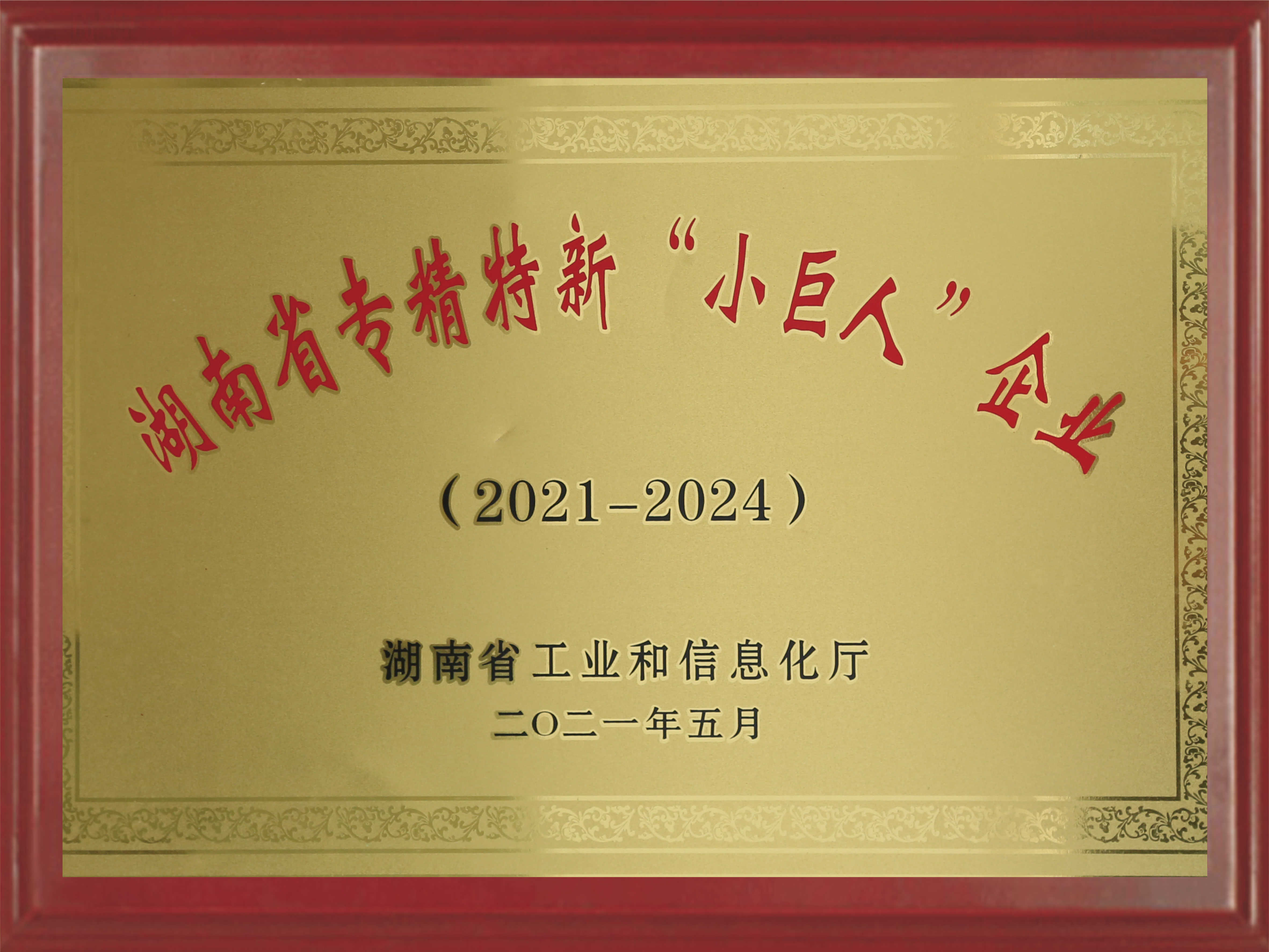 Hunan Province's "Specialization, Excellence, and Innovation" Small Giant Enterprise
