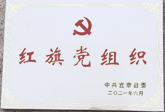 Red Flag Party Organization