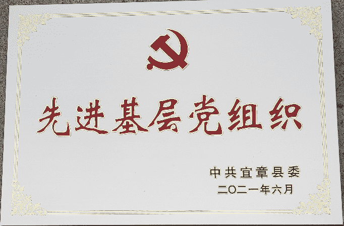 Cash Primary Party Organization