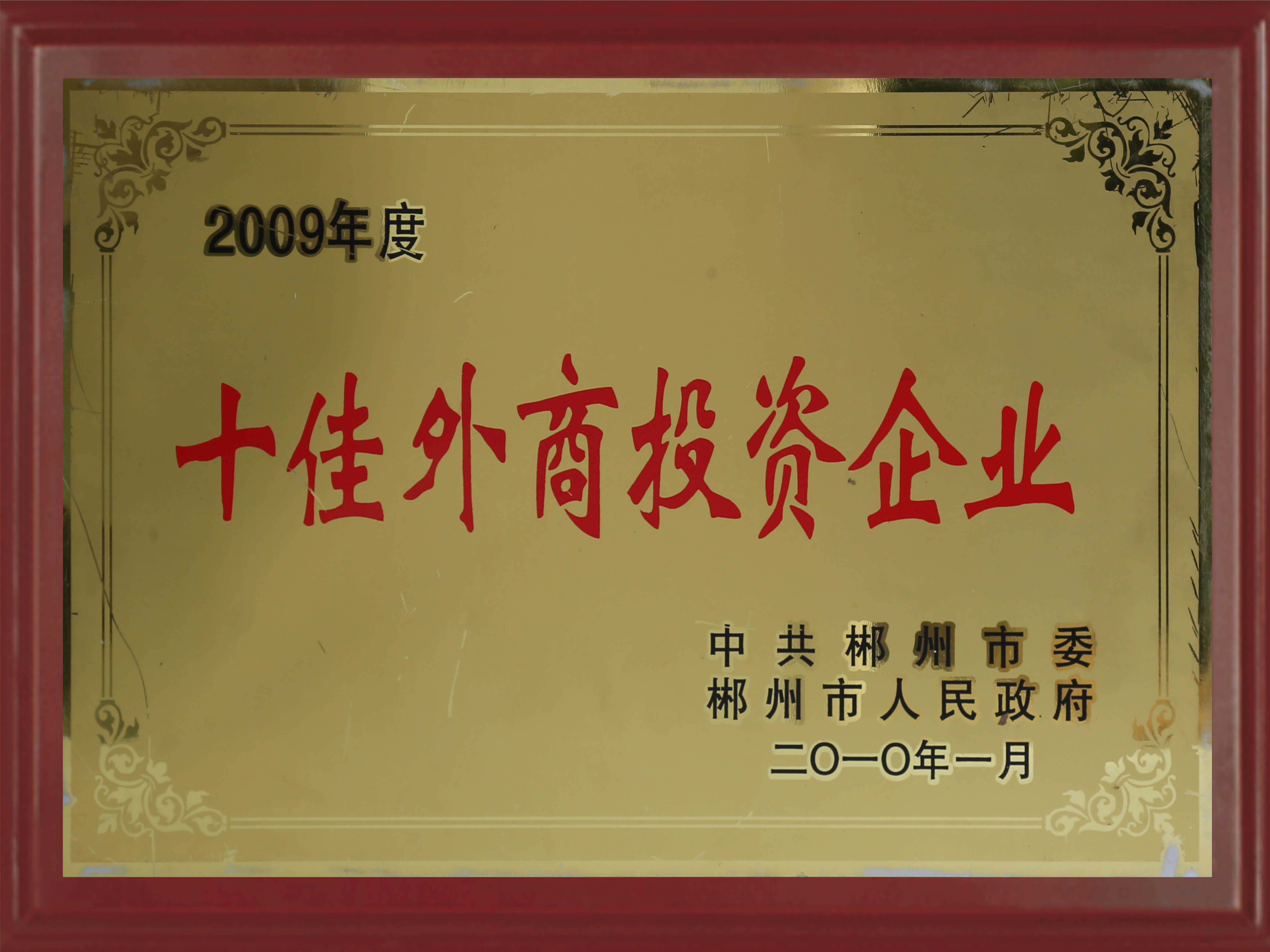 Top 10 Foreign Investment Enterprises