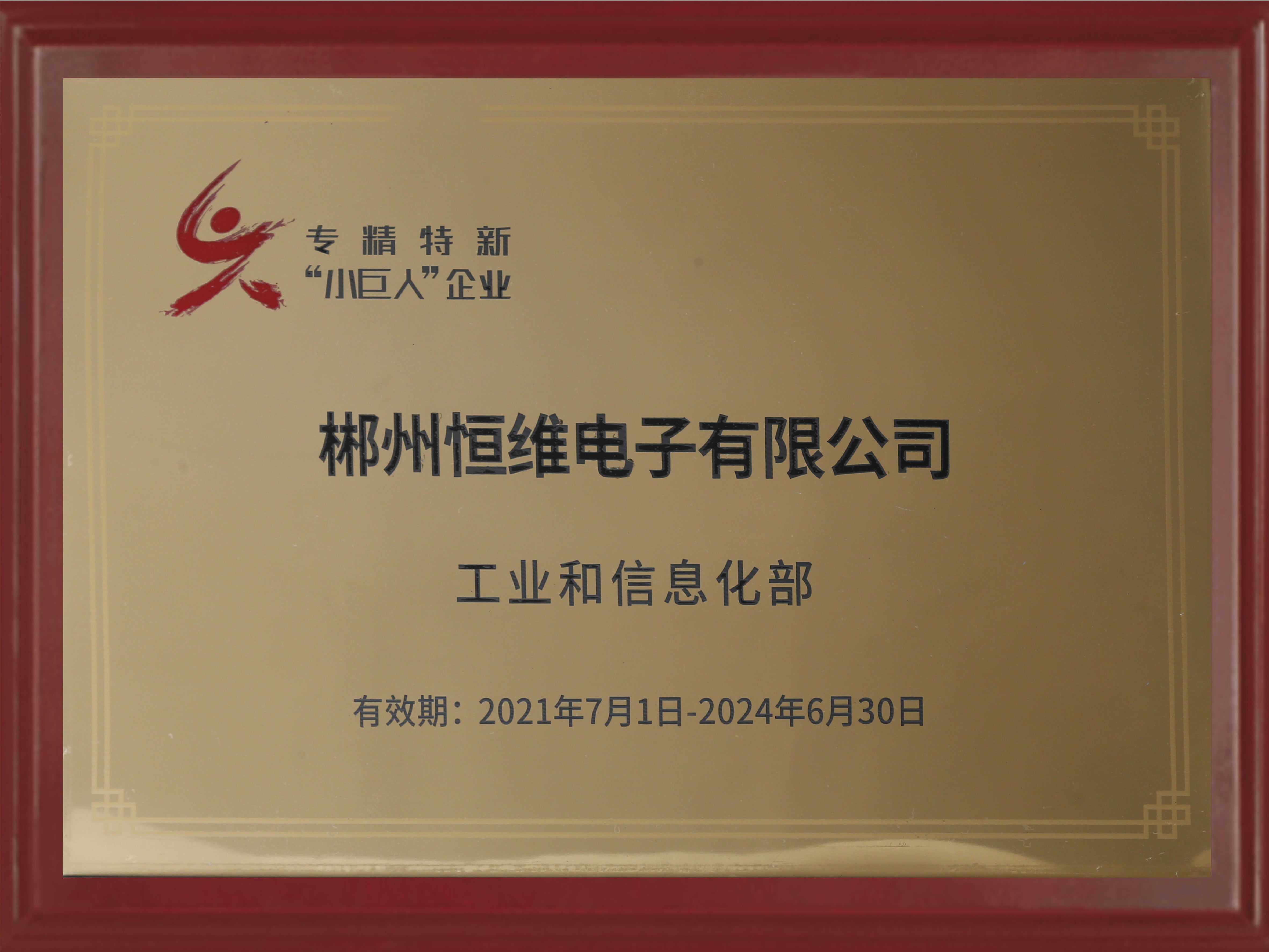 National "Specialization, Specialization and Innovation" Small Giant Enterprise